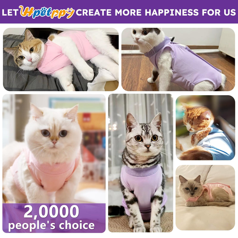 Hpetppy col élastique ajusté, enfilage facile et moins de stress