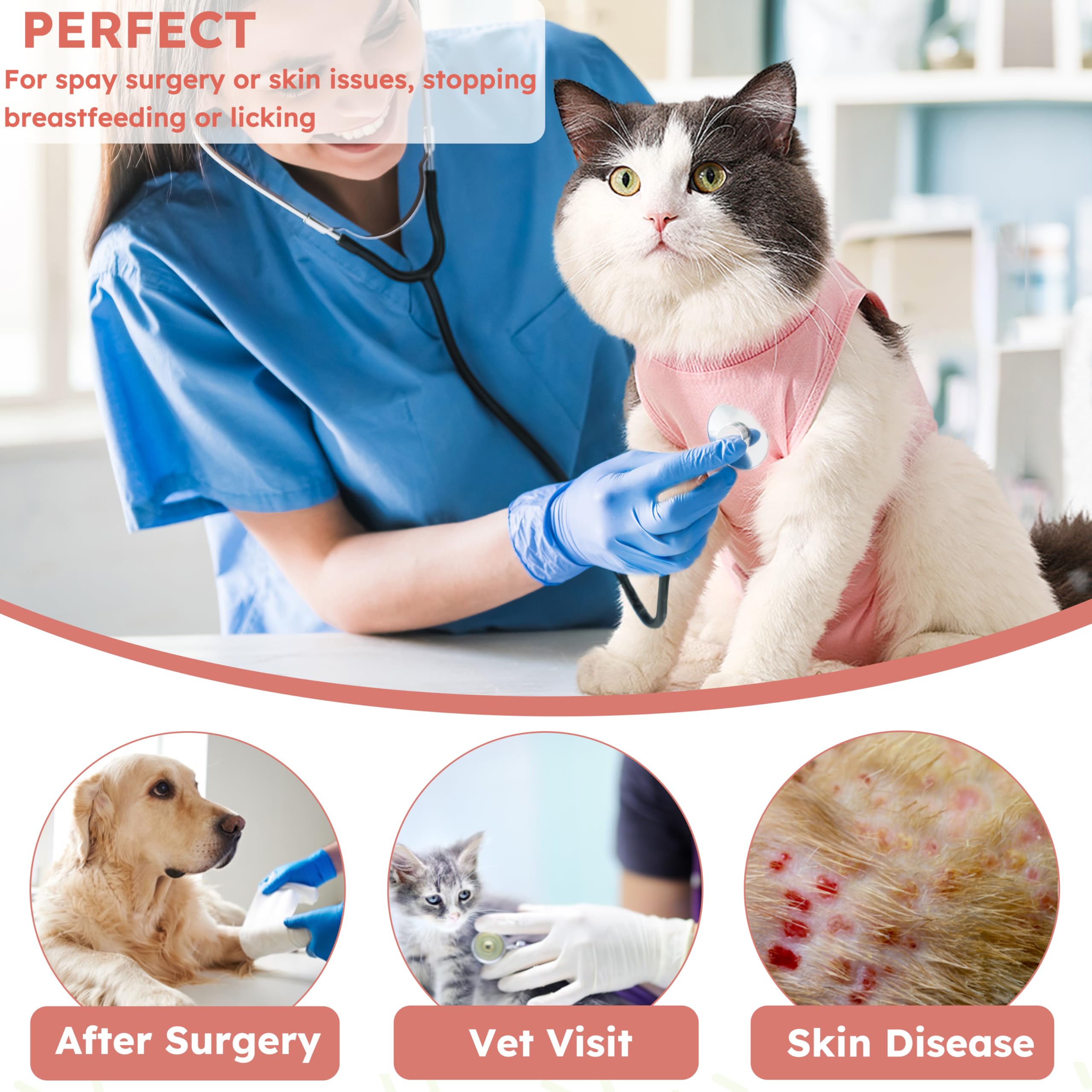 Hpetppy sélection de motifs et couleurs pour un look adapté au chat