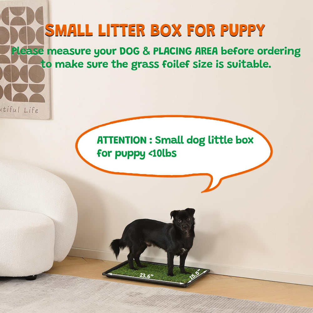HQ4US 4LEGS chiot utilisant le tapis pour apprentissage pratique