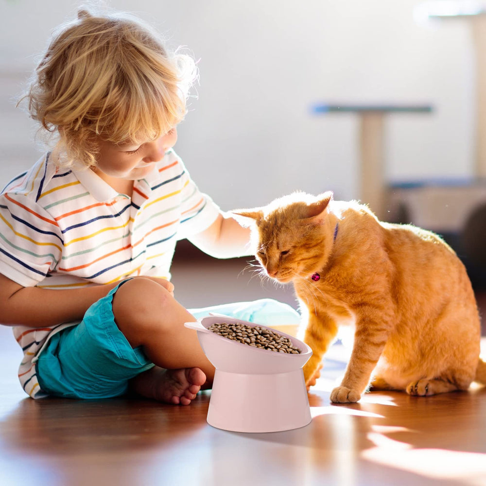 Hsei bol en usage avec chat mangeant confortablement sans stress