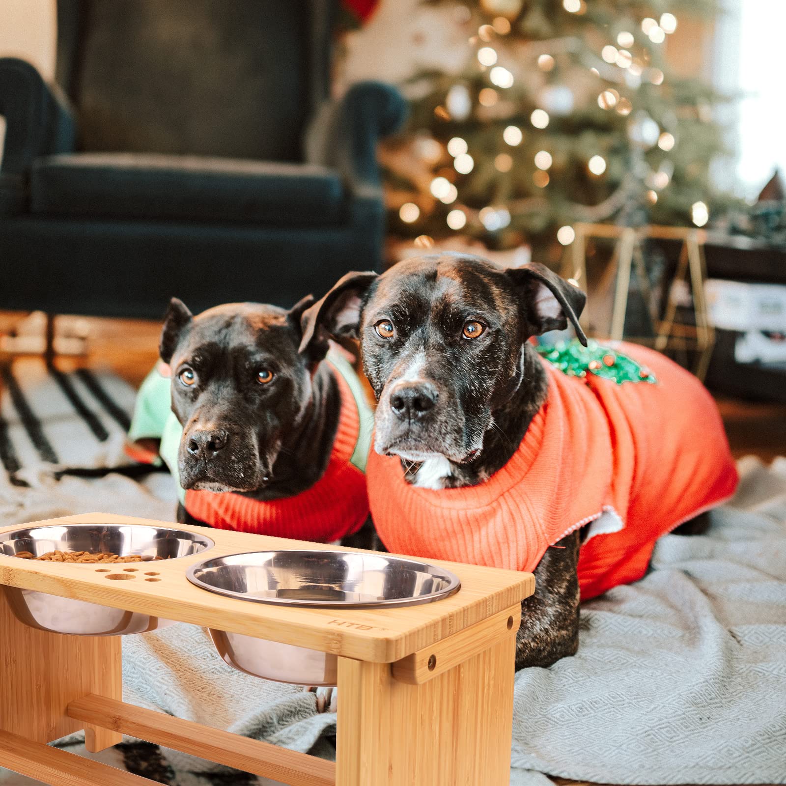 HTB comparaison taille avec chien, montre ajustement pour différentes tailles