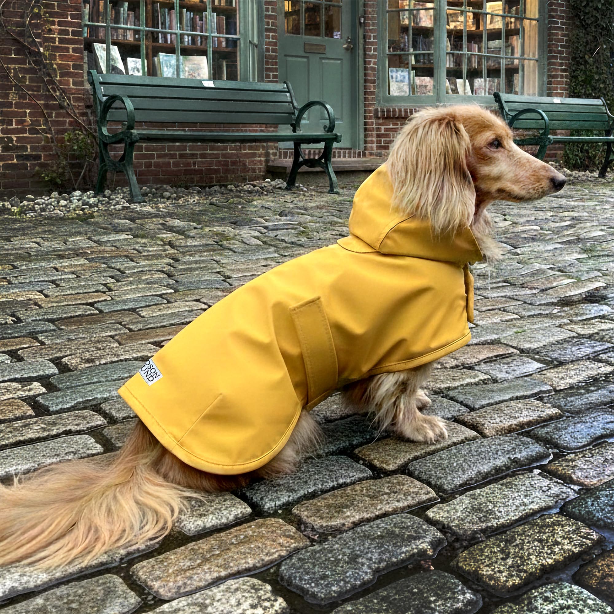 Hudson Hound mise en situation urbaine pluie lifestyle pour promenades