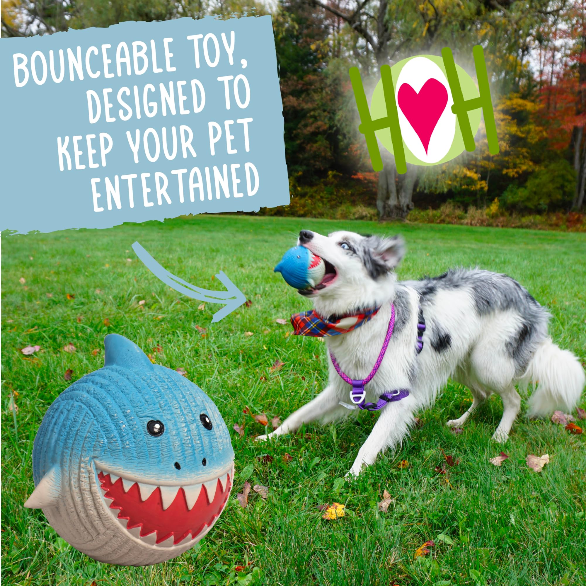 HuggleHounds comparaison taille Finn avec règle, aide choix adapté