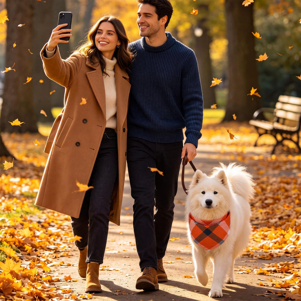 Séance photo lifestyle avec chien portant Huhumy, met en valeur l'accessoire
