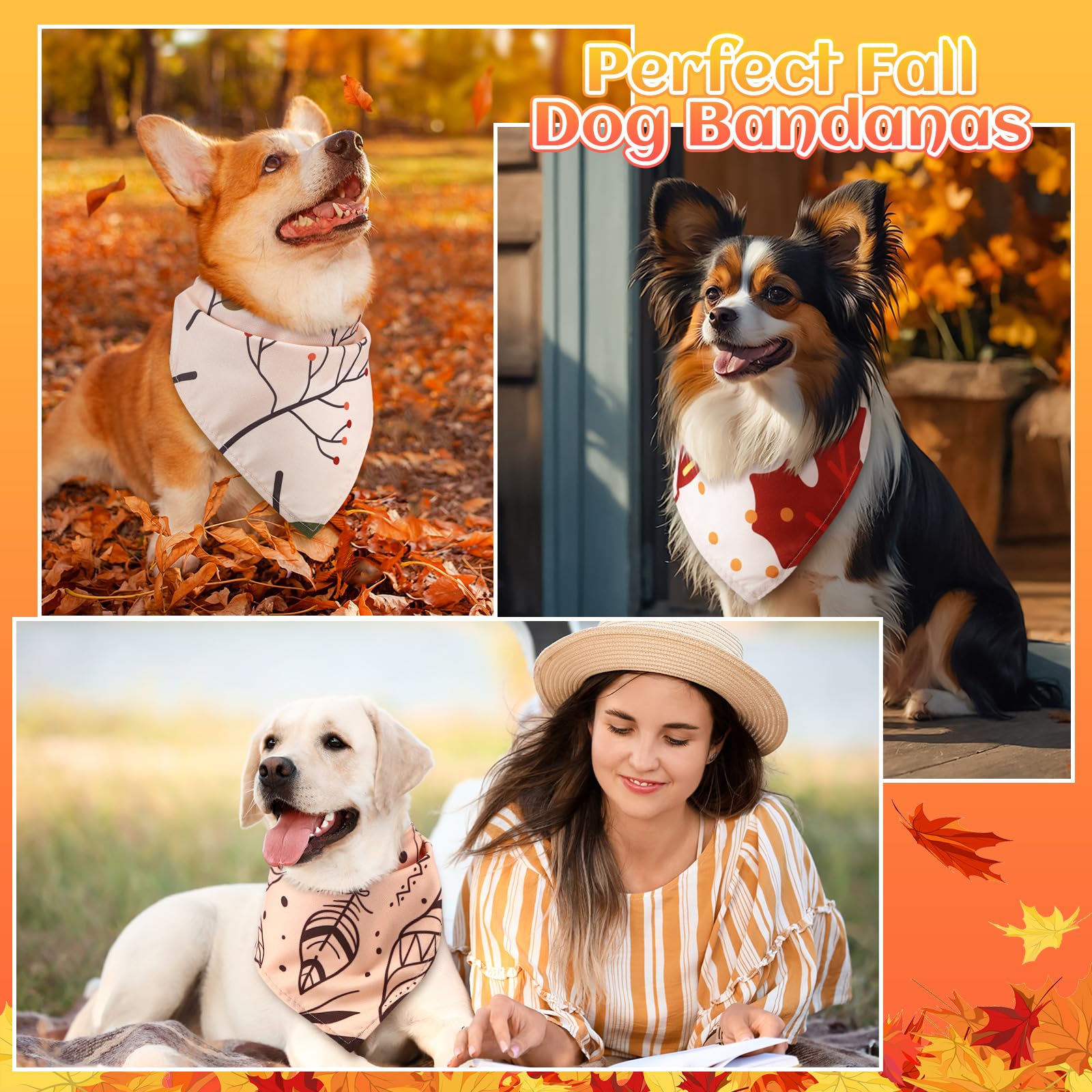 Huhumy bandana porté sur chien moyen pour style et maintien sûr