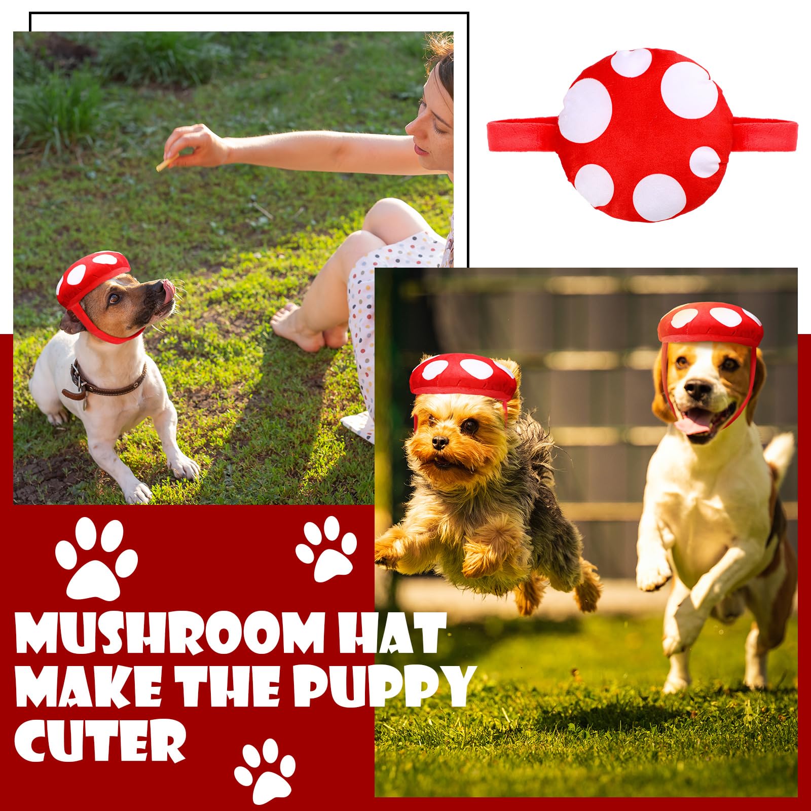 Huhumy chapeau champignon porté par un chien en extérieur, idéal pour photos festives