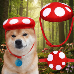 Huhumy chapeau champignon vu de face, met en avant l'effet adorable