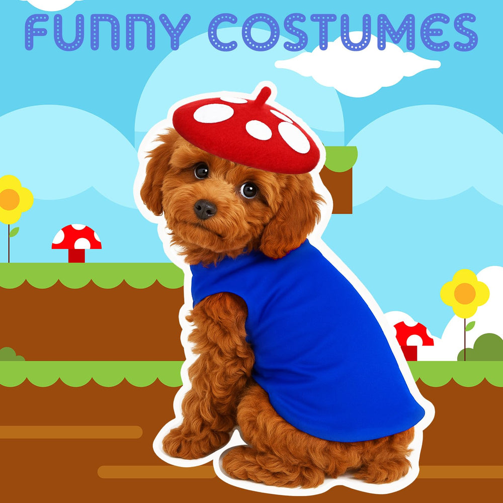 Huhumy chien portant costume en extérieur créant photos mémorables