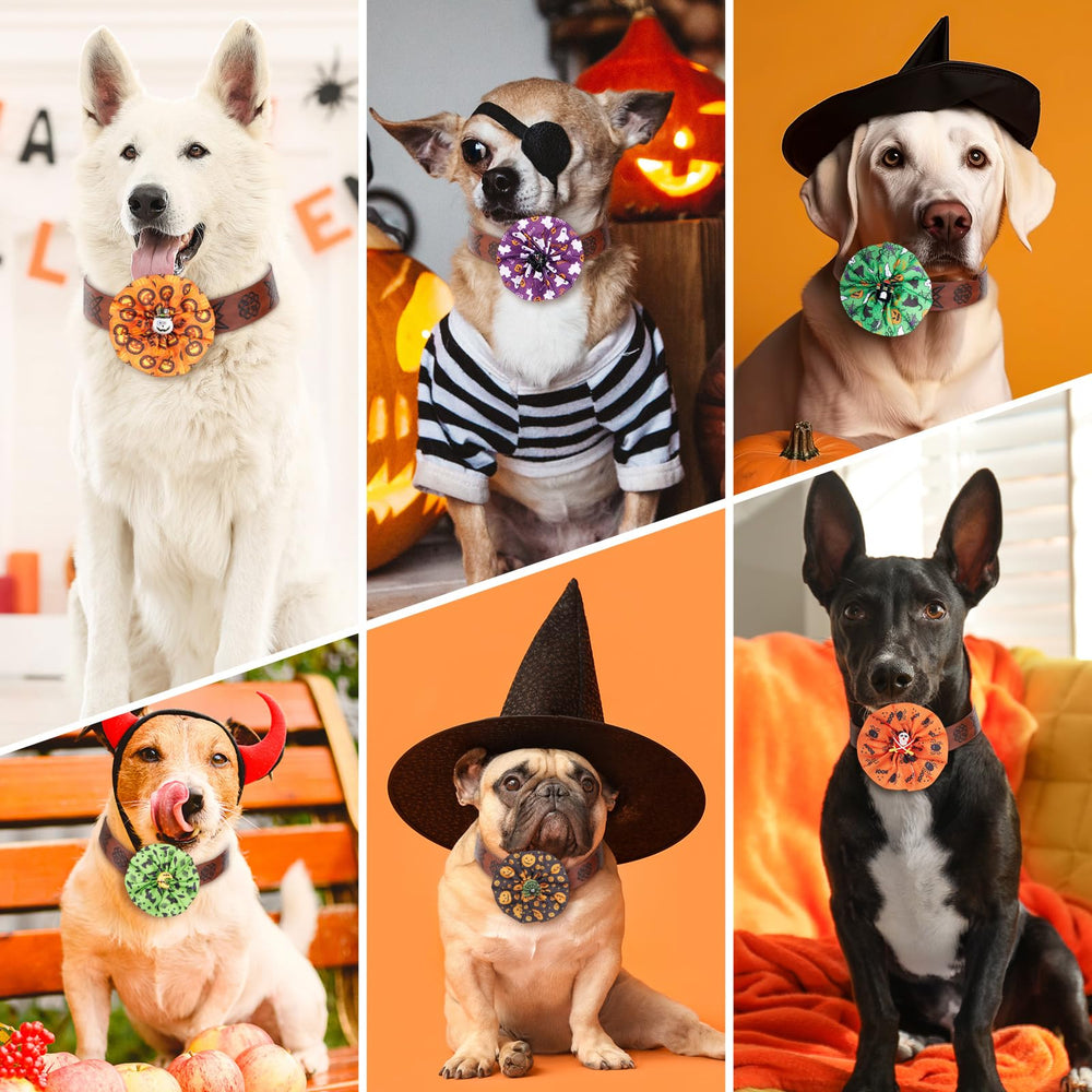 Huhumy mise en scène fête Halloween apportant charme instantané