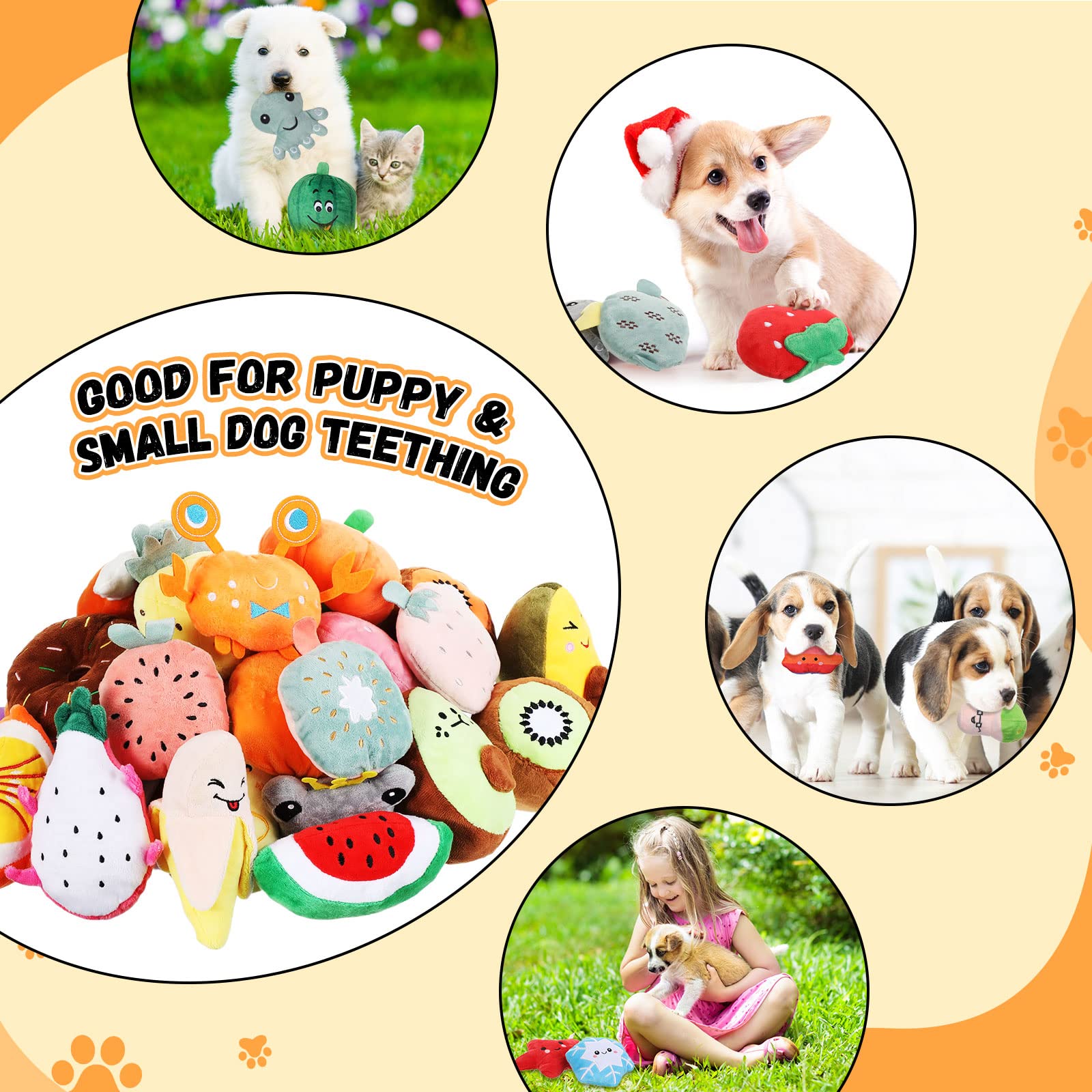 hungdao chiot en jeu avec peluche montrant engagement et exercice actif