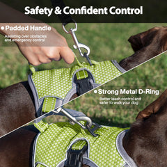 Huntboo anneau métallique dorsal pour fixation de laisse sûre