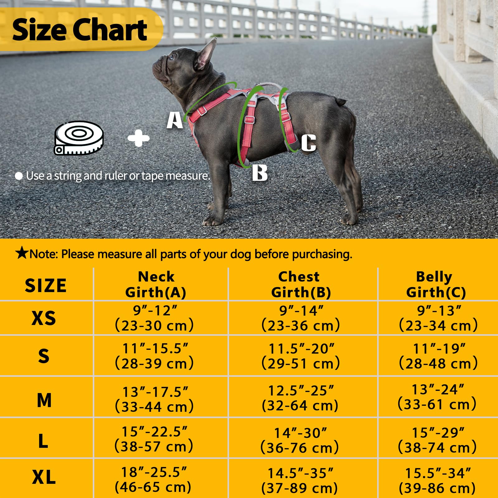 Huntboo comparaison taille illustrant ajustements pour chiens moyens