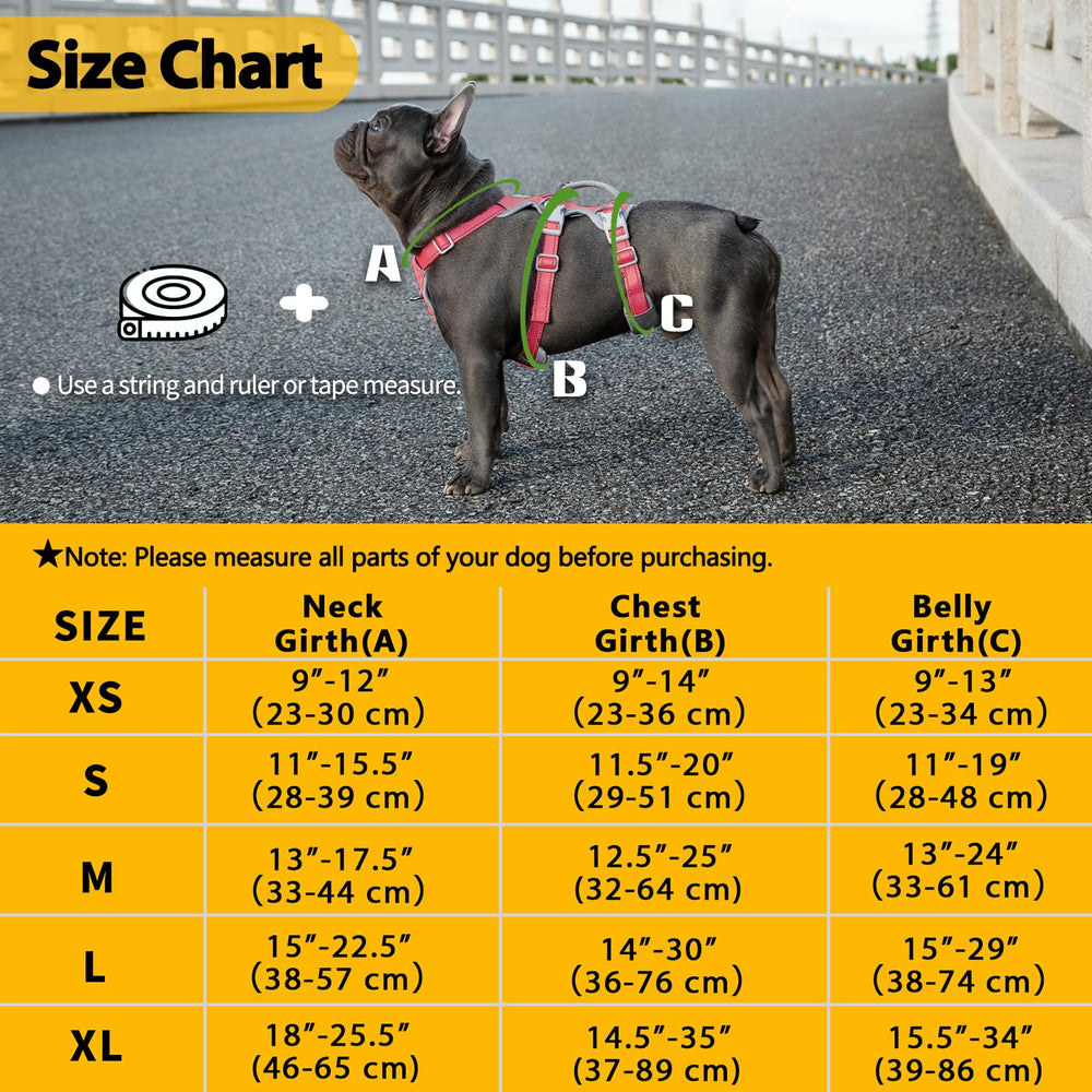 Huntboo comparaison taille illustrant ajustements pour chiens moyens