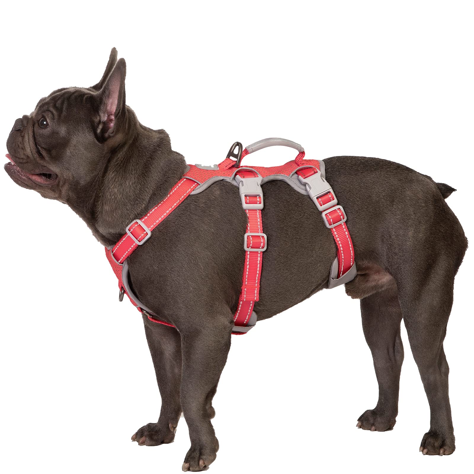 Huntboo harnais face avant montrant le design de gilet et maintien sûr