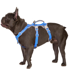 Huntboo harnais face Sea Blue montrant maintien sécurisé