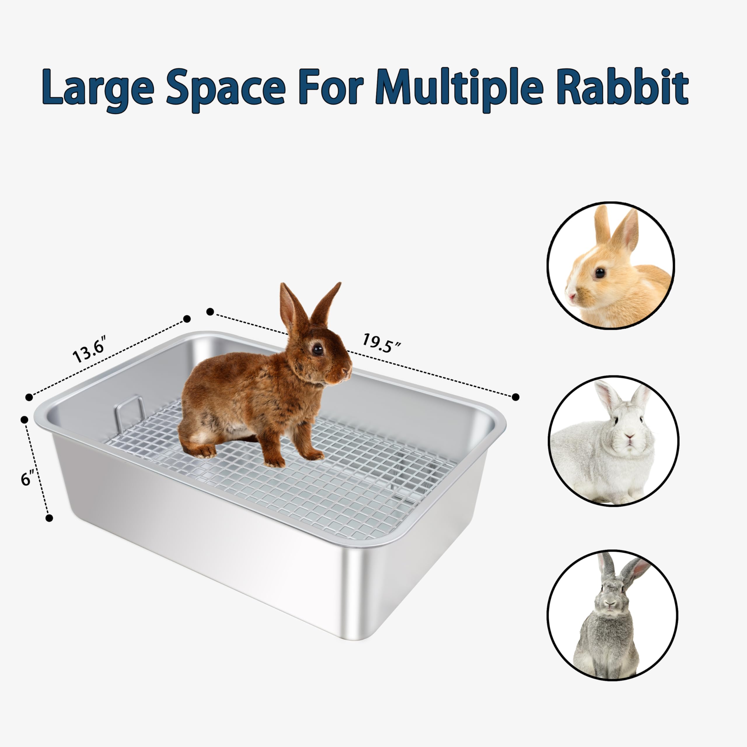 huqizoo comparaison taille avec lapin montrant espace confortable