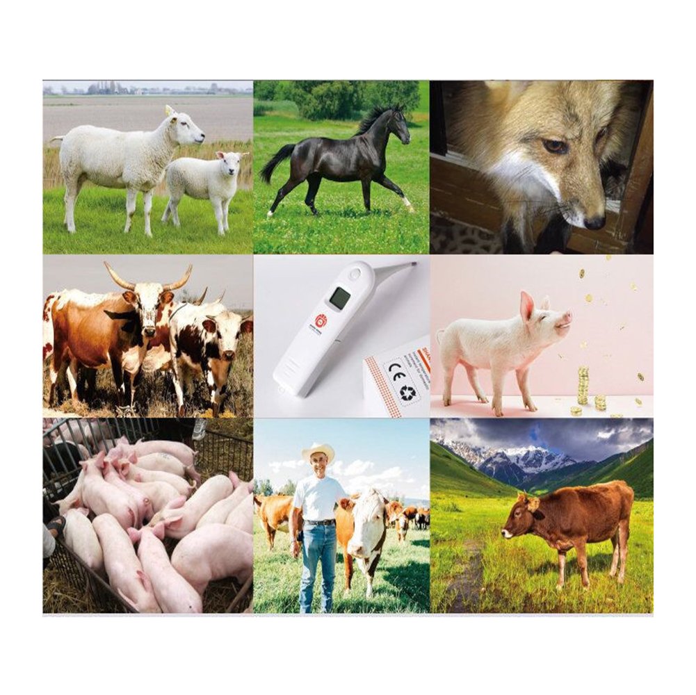 Hurinan détail du boîtier, nettoyage simple et hygiénique