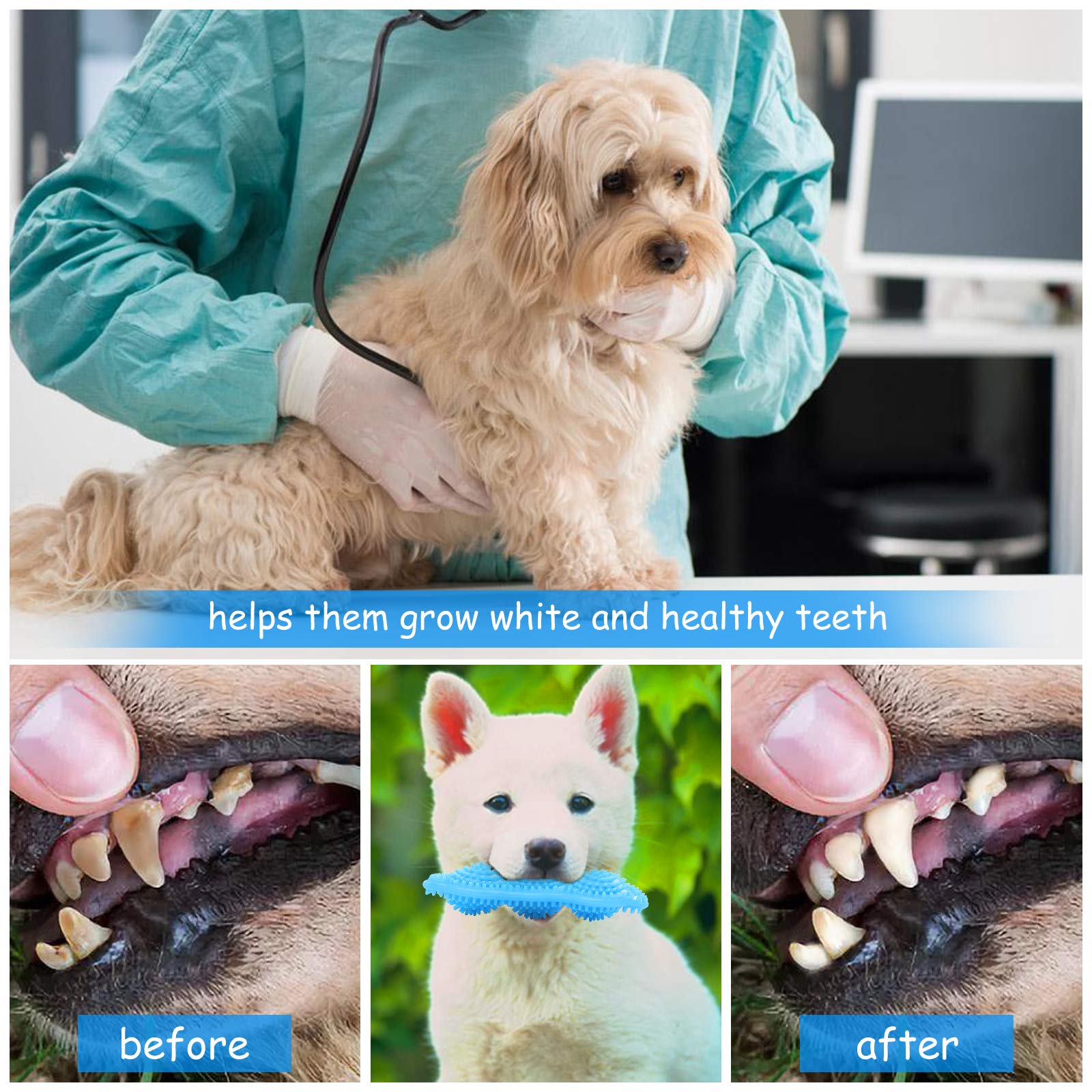 Hurray détail du matériau en caoutchouc souple protégeant les dents du chiot