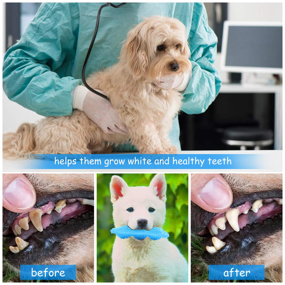 Hurray détail du matériau en caoutchouc souple protégeant les dents du chiot