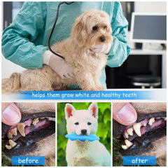 Hurray détail du matériau en caoutchouc souple protégeant les dents du chiot