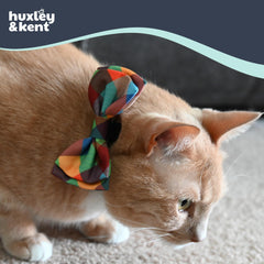 Huxley & Kent chat portant noeud, photo-ready pour portraits