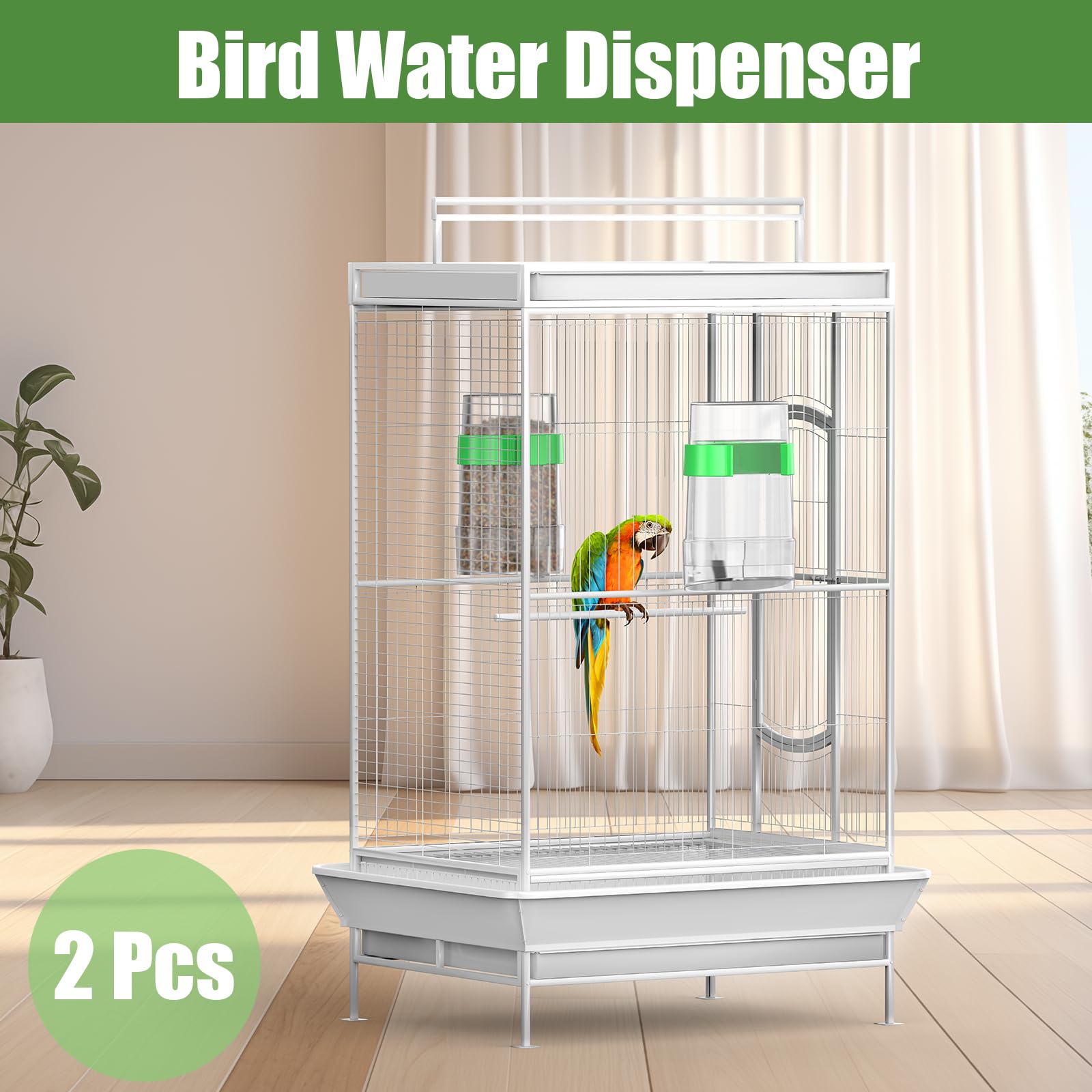 HWDMYY CLPOAWC scène de cage en intérieur démontrant confort de l'oiseau