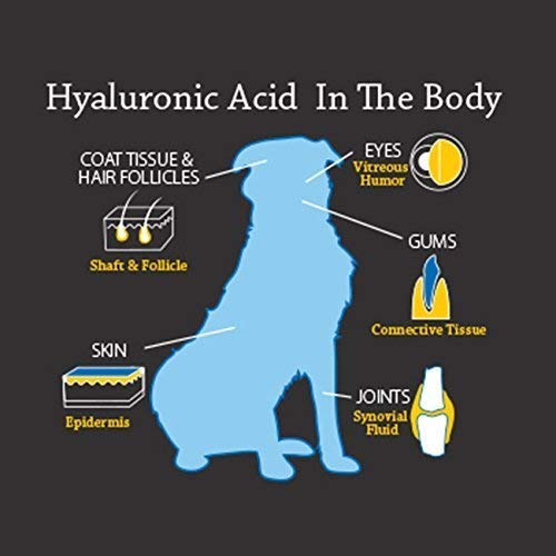 Hyalogic HyaFlex prise directe du liquide pour mise en bouche sans stress