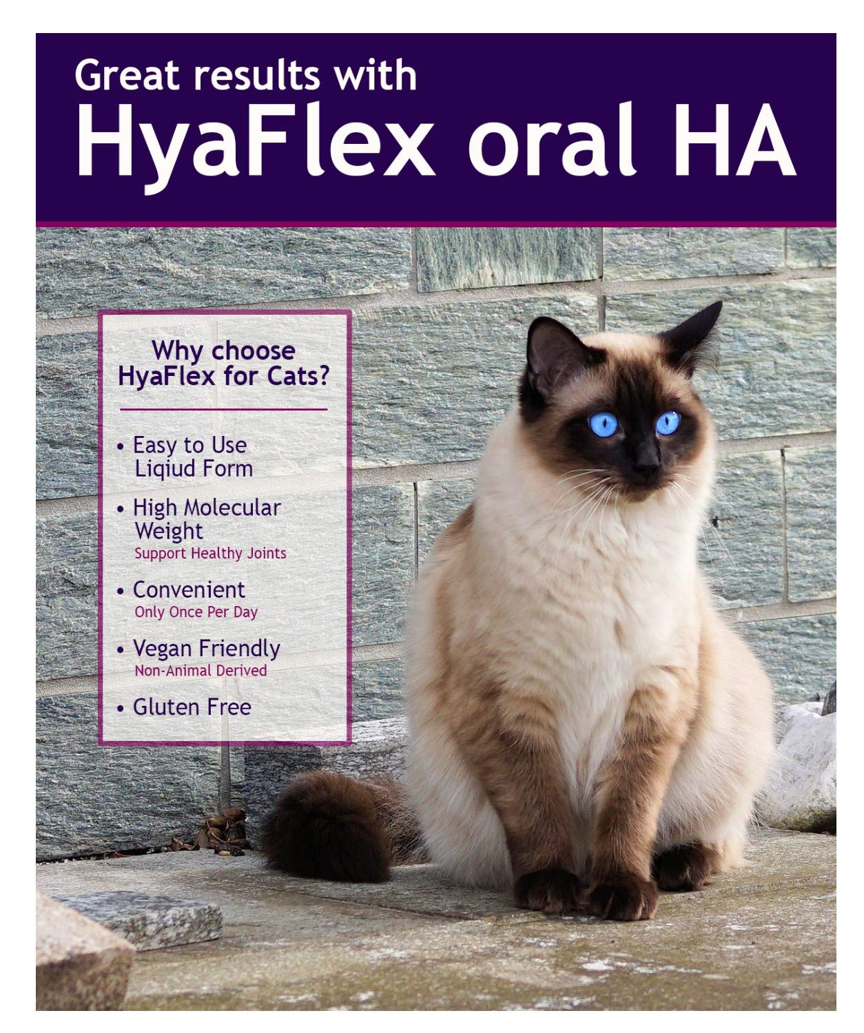 Hyalogic bouteille avec verre doseur garantissant dosage précis