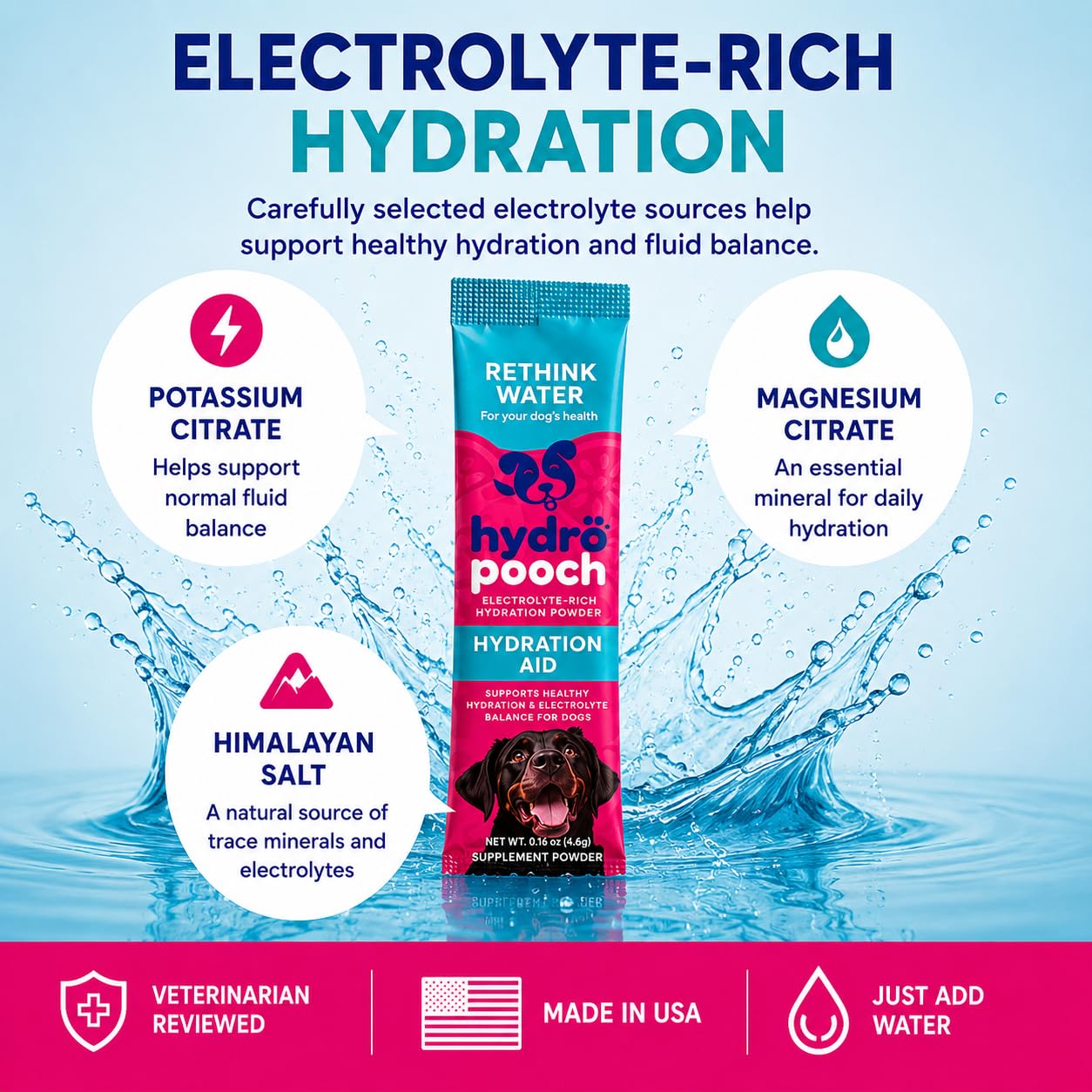 HYDRO POOCH boisson prête dans un bol offrant hydratation attrayante au chien