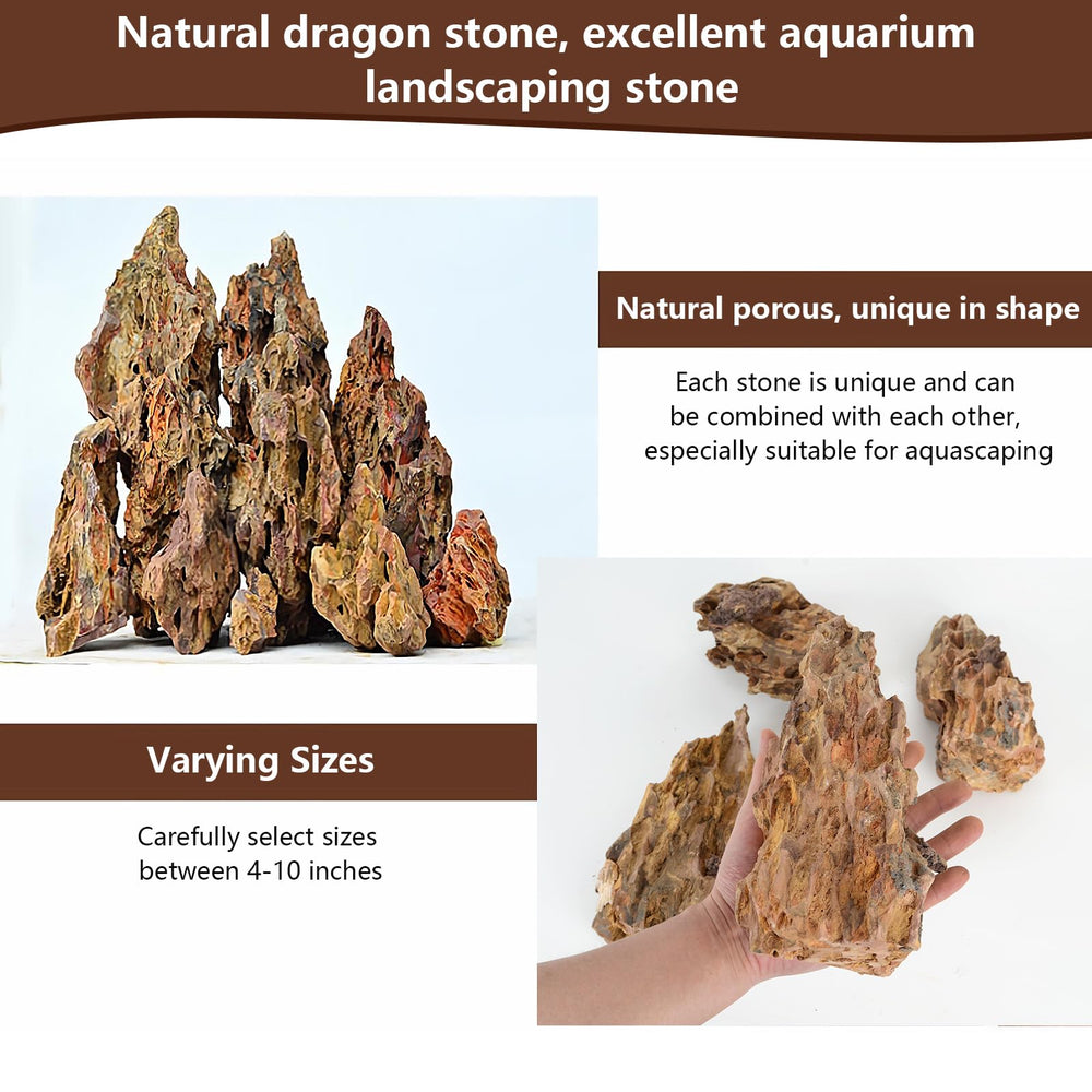 Hygger CO2 composition en aquarium illustrant profondeur visuelle et cachettes pour poissons