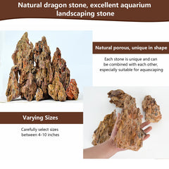 Hygger CO2 composition en aquarium illustrant profondeur visuelle et cachettes pour poissons