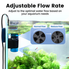 Hygger CO2 en action dans aquarium d'eau douce améliorant la clarté de surface