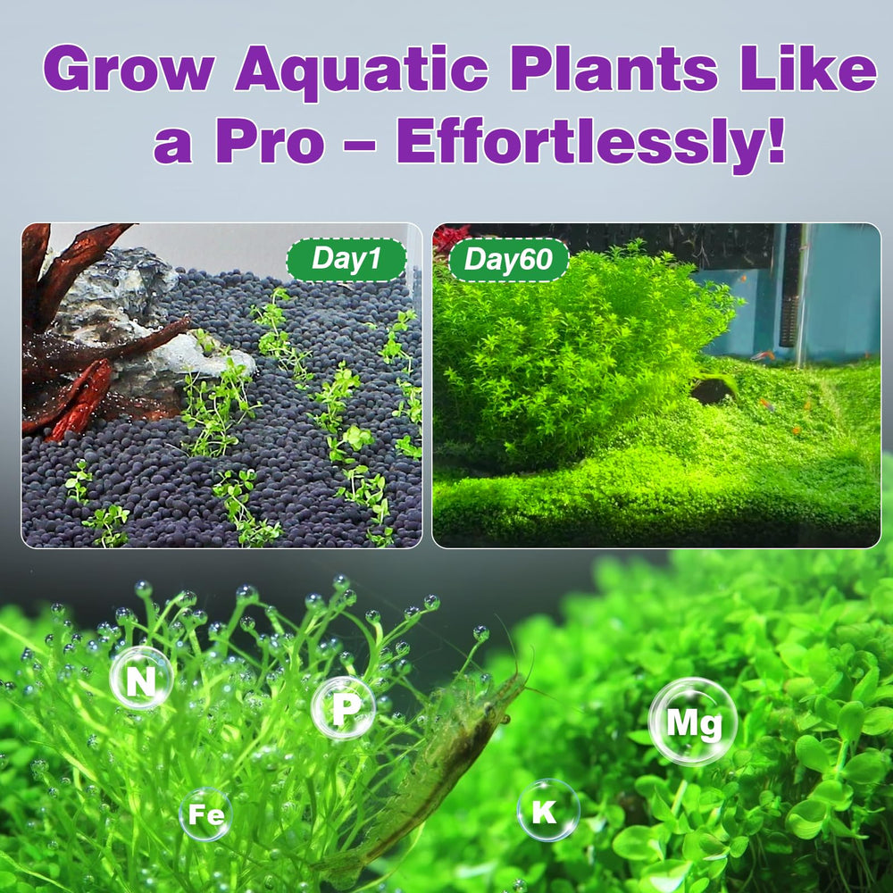Hygger CO2 substrat versé dans aquarium vide pour installation propre