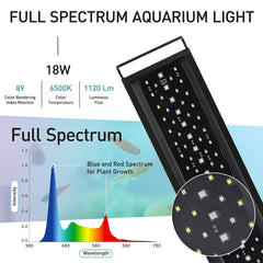 hygger gros plan sur les LED WRGB, prouve le rendu naturel des couleurs des plantes
