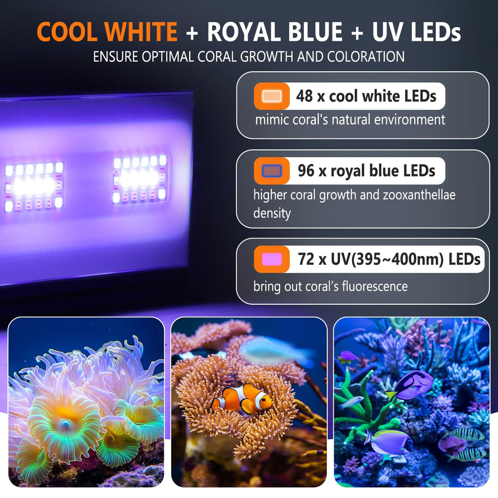 hygger gros plan LEDs royal blue et U-V pour meilleure fluorescence