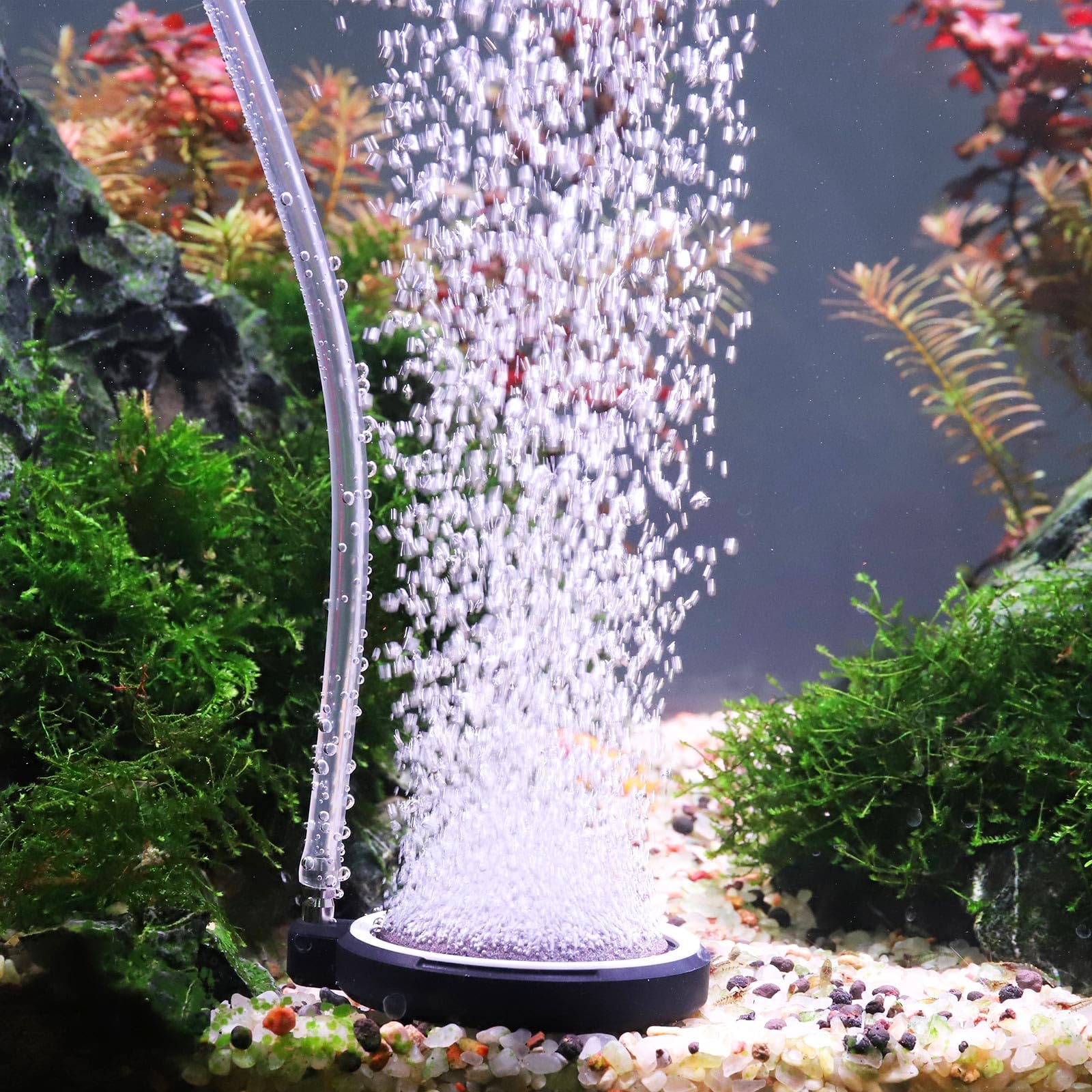 hygger vue avant du diffuseur en paquet montrant contenu et usage