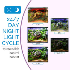 hygger gros plan LEDs RGB et blanches montrant qualité et couleurs vives