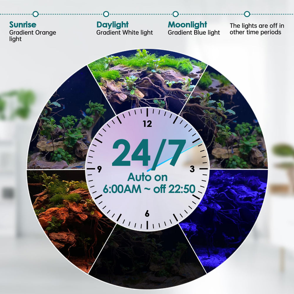hygger lampe allumée dans un aquarium paysage améliorant rendu des couleurs