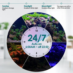hygger lampe allumée dans un aquarium paysage améliorant rendu des couleurs