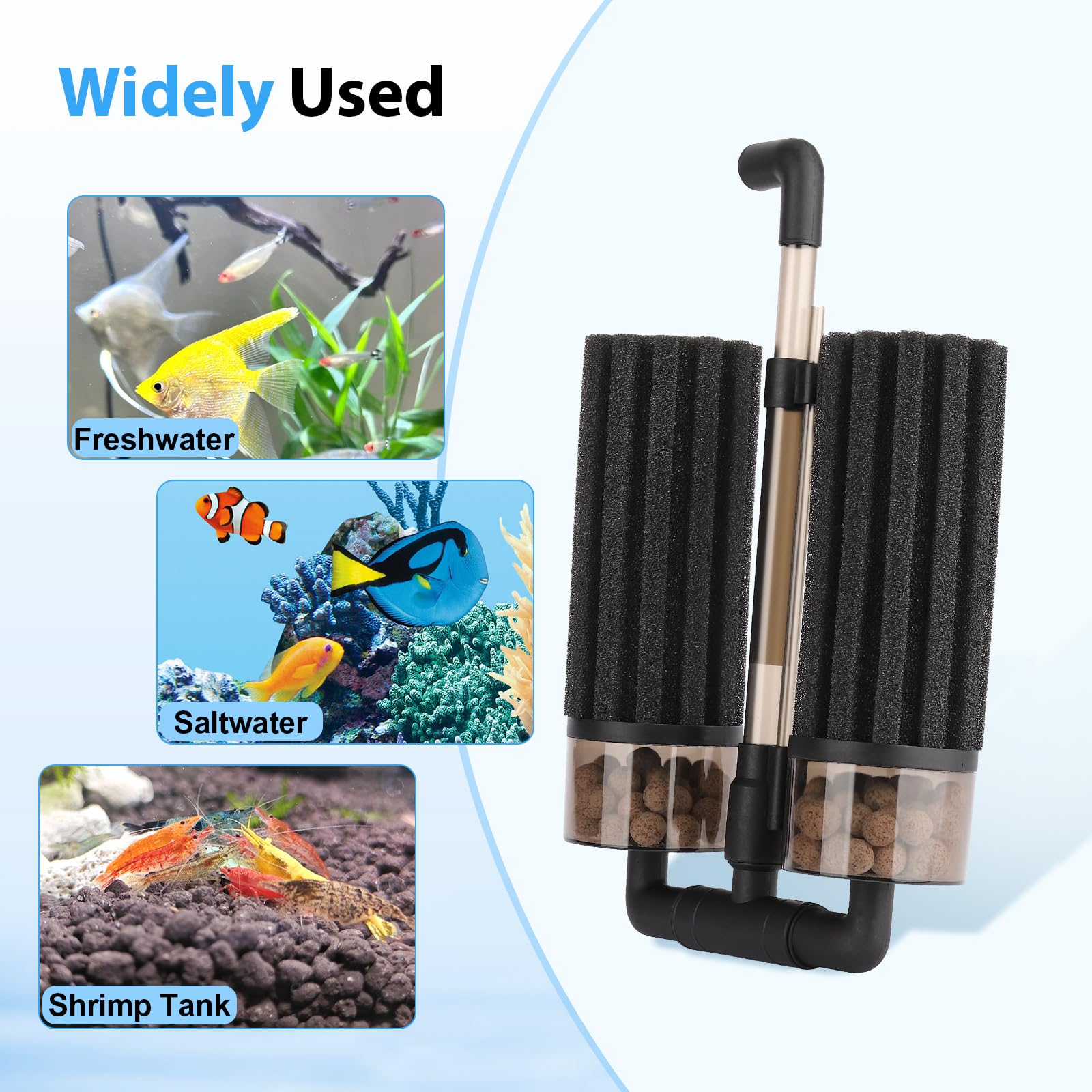 hygger mise en place en aquarium vivants montrant poissons protégés bénéfice filtration douce