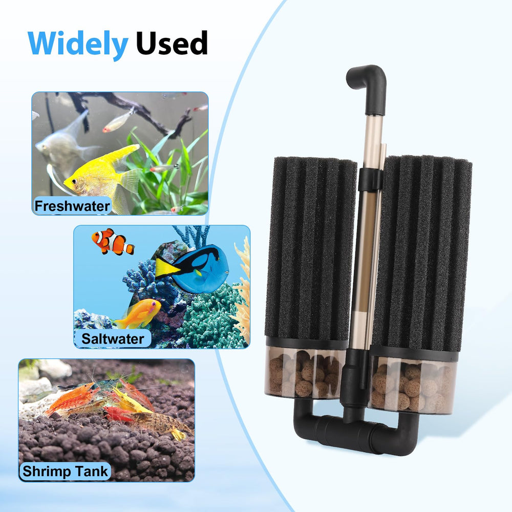 hygger mise en place en aquarium vivants montrant poissons protégés bénéfice filtration douce