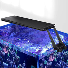 hygger vue frontale de la rampe montrant design et fixation pratique