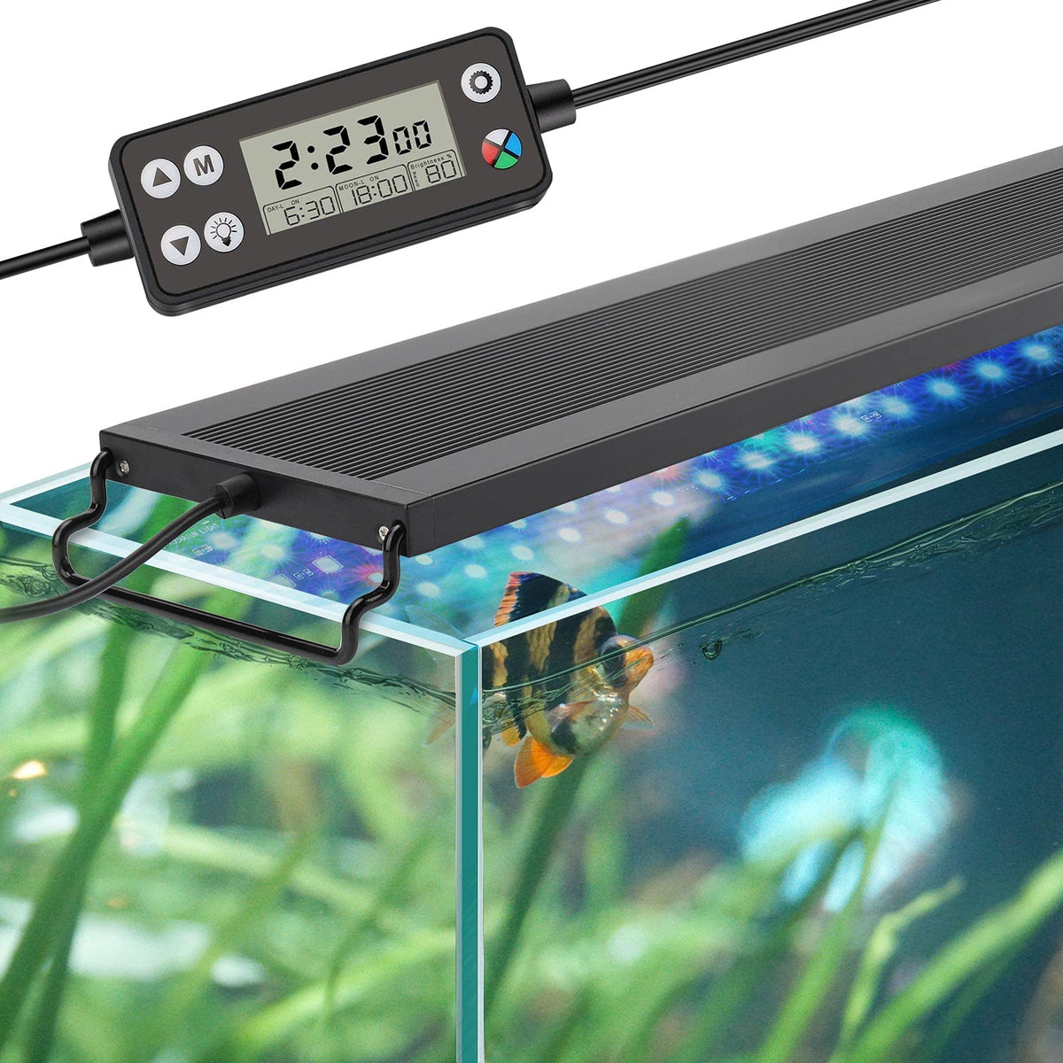 hygger rampe LED face avant montrant le profil et l'éclairage, améliore l'esthétique du bac