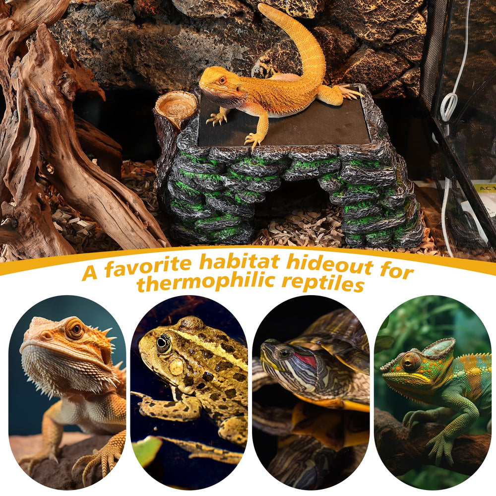 Hygger zoo reptile sur la plateforme illustrant confort de chauffe