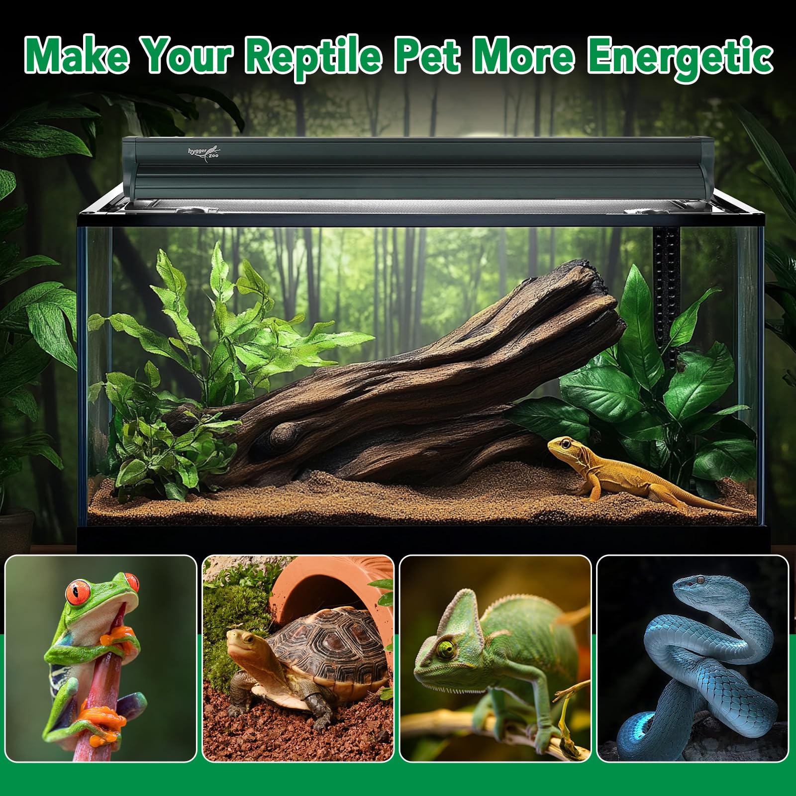 Hygger Zoo lampe en situation dans terrarium montrant lumière uniforme pour animaux