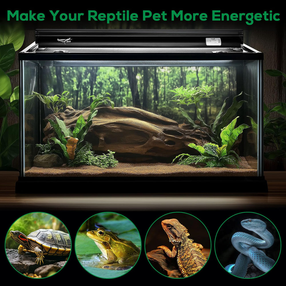Hygger zoo comparatif d'échelle montrant taille du luminaire par rapport au terrarium