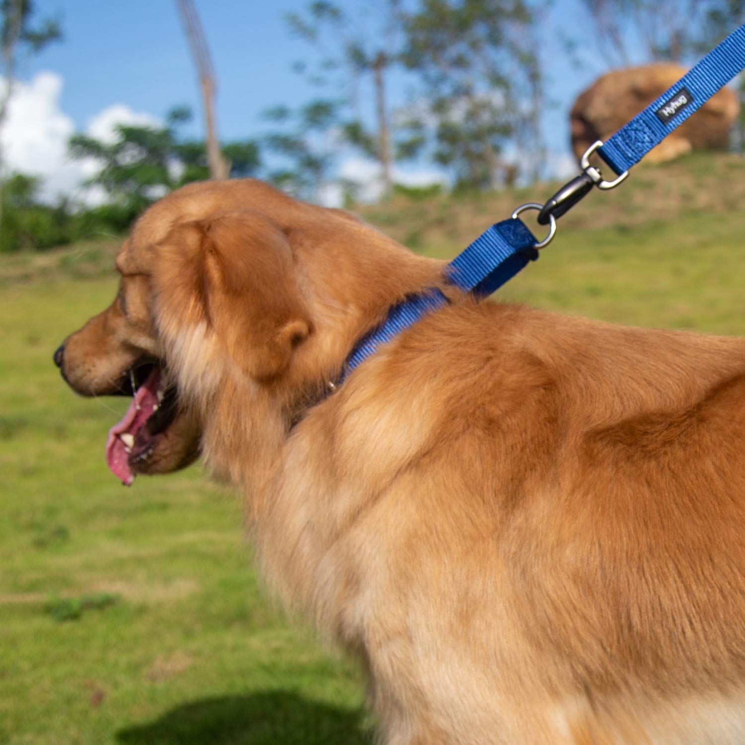 Hyhug collier en usage promenade contrôlant doucement le chien