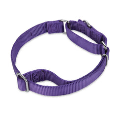 Hyhug collier martingale ajustement taille M pour guide d'ajustement