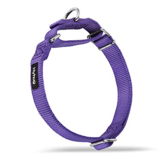 Hyhug collier martingale violet vue face montrant le design sécurisé