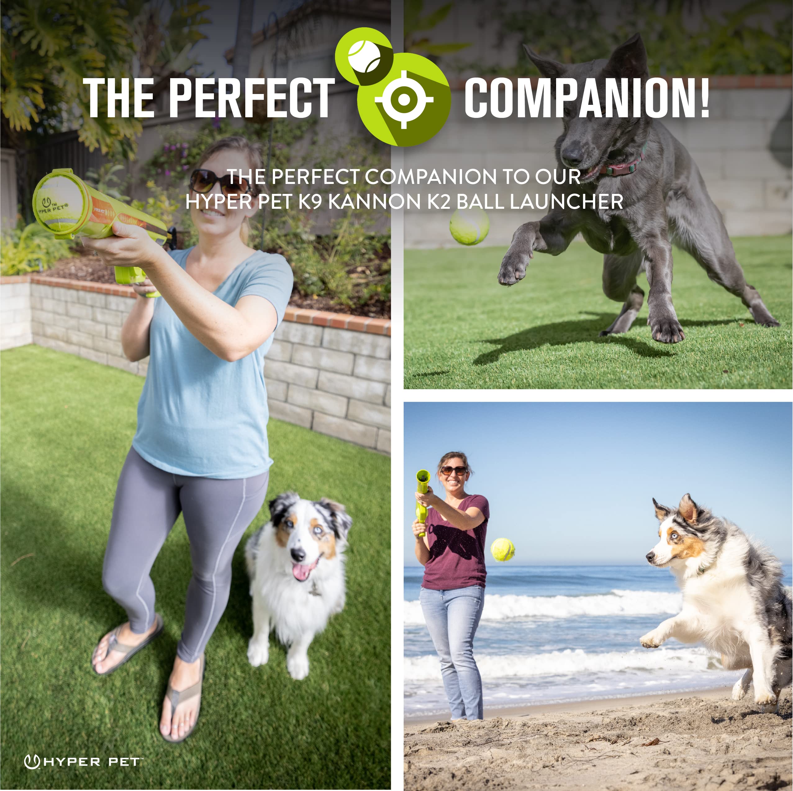 Hyper Pet balle dans la bouche du chien encourage exercice sain